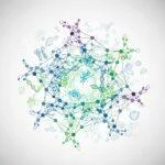 Attention-Based GCN for Breast Cancer Subtype Classification