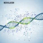 Semi-Supervised Cancer Subtype Classification via Methylation